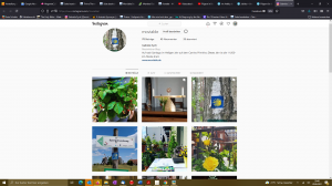 Moviable Instagram